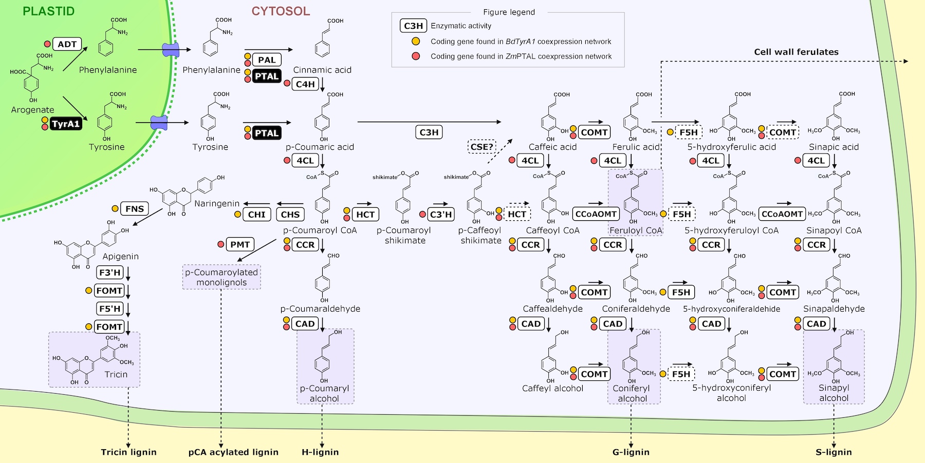 Figure 2.3